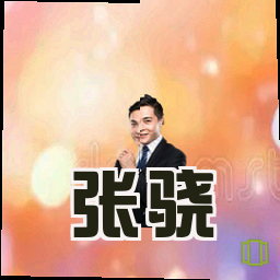 张骁