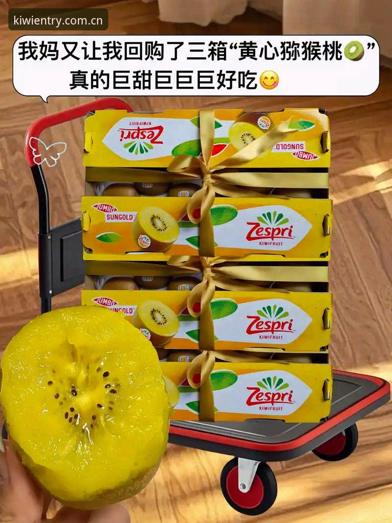 技术评测员实测：2025新版奇异果体育下载全流程与v2.1.0使用心得