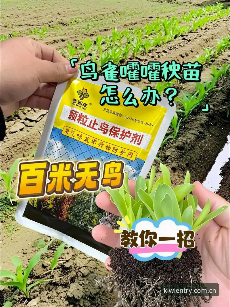 深度揭秘奇异果体育在线登录的技术细节与2025新版体验真相
